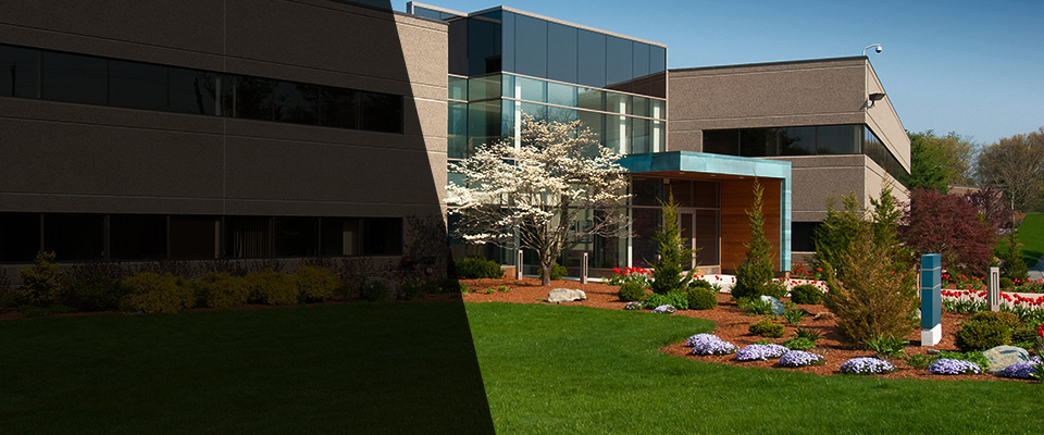 Shadyside Landscapers